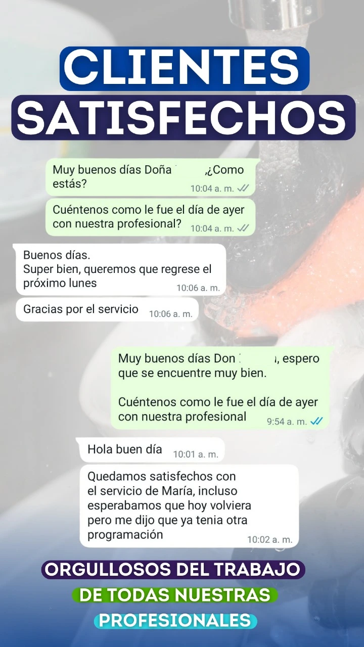 servicios Luna Limpia